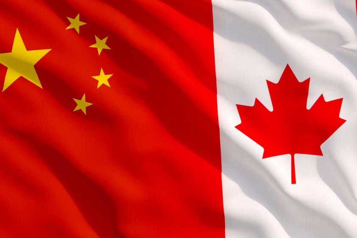 《中国国际移民报告2020》发布：加拿大是主要移民目的地国家